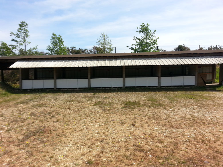 Image Zone 3